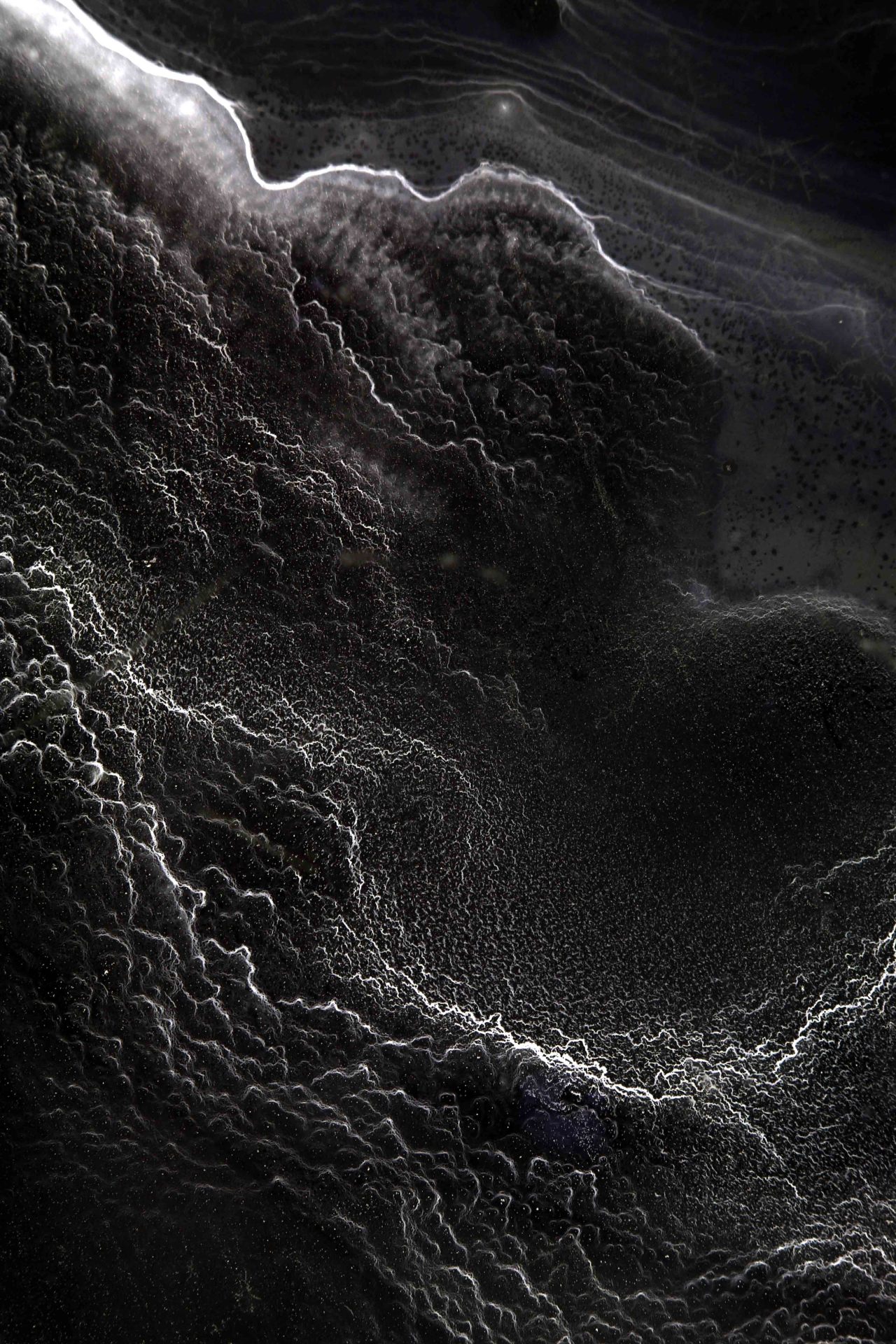 Archillect Archive ID 140943