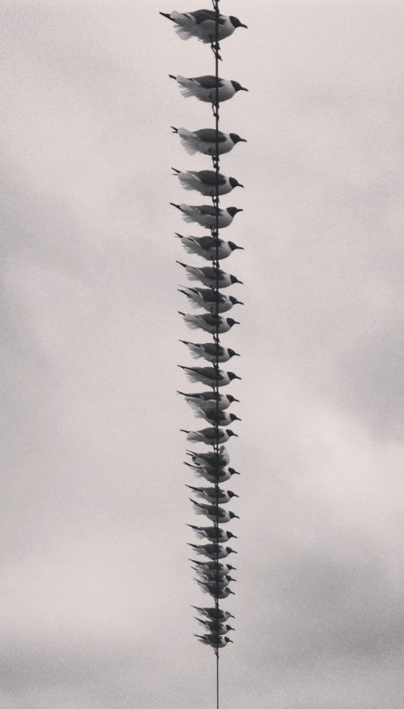 Archillect Archive ID 141316