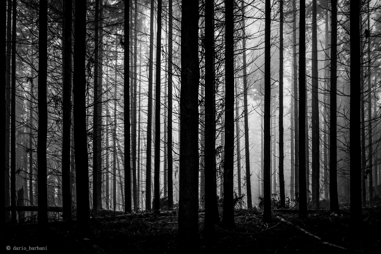 Archillect Archive ID 141642