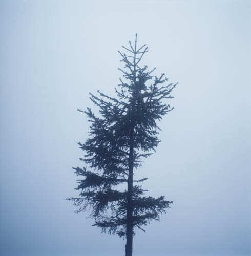 Archillect Archive ID 141684