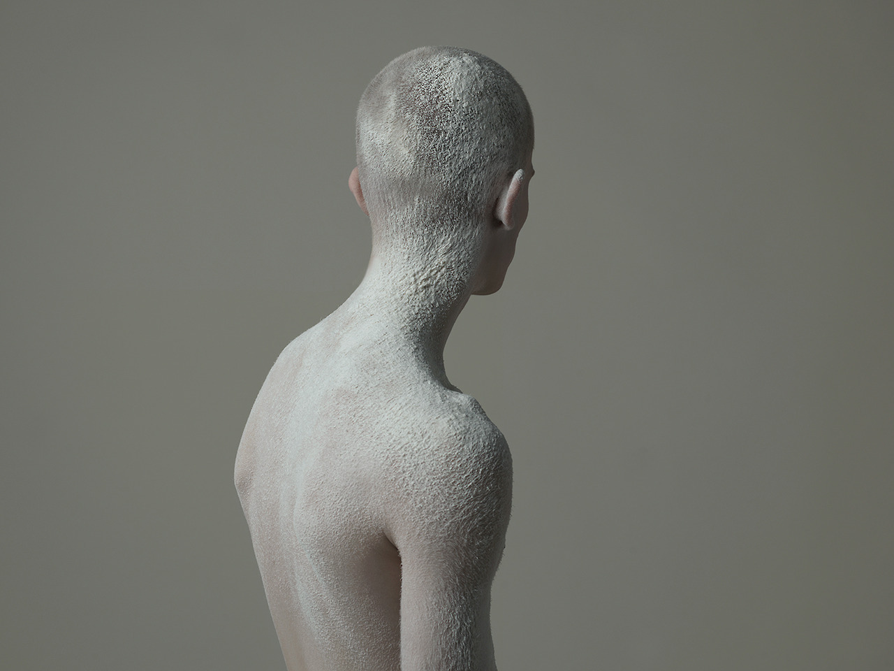 Archillect Archive ID 142120