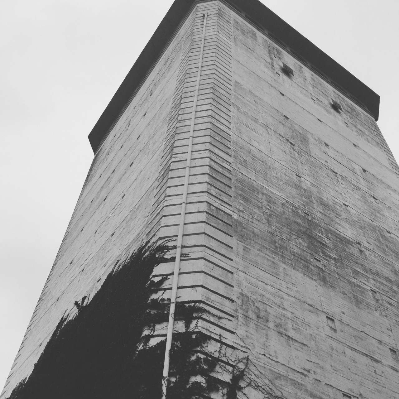 Archillect Archive ID 142123