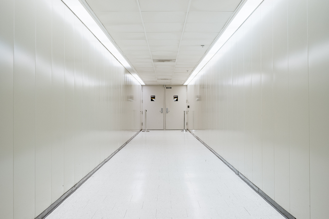 Archillect ID 142396