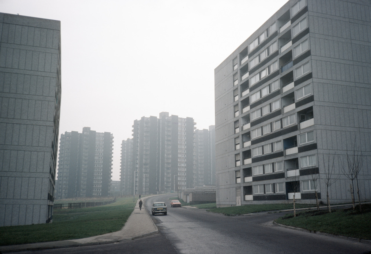 Archillect ID 142408