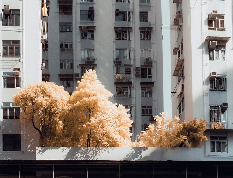 Archillect ID 142634
