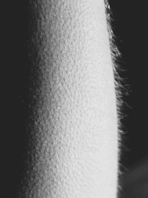 Archillect ID 142654