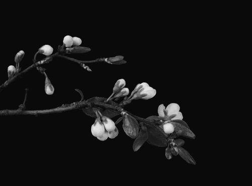 Archillect ID 142661