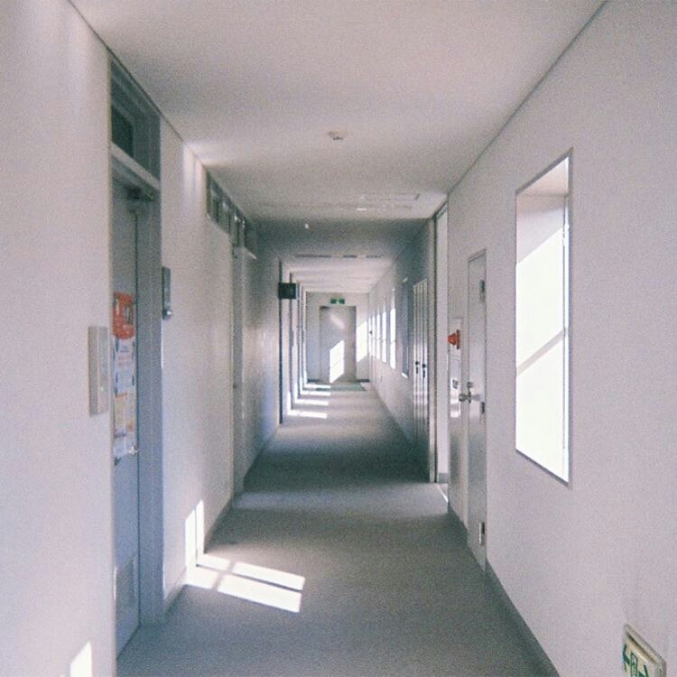 Archillect ID 142667