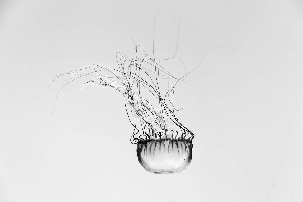 Archillect ID 142848
