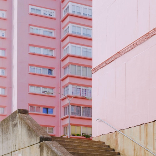 Archillect ID 142872