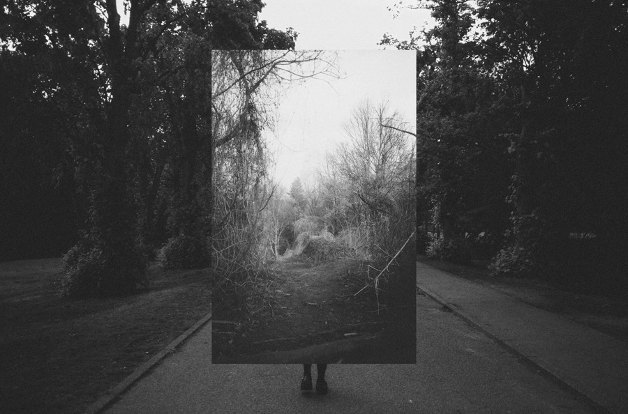 Archillect ID 142898