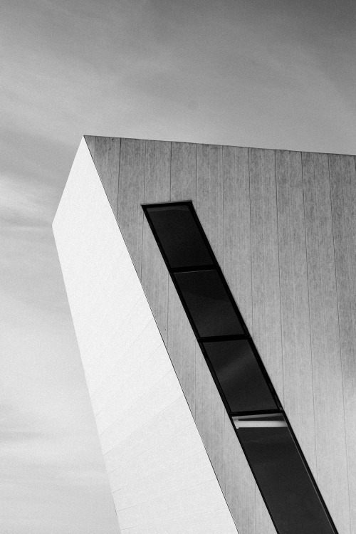 Archillect ID 142919