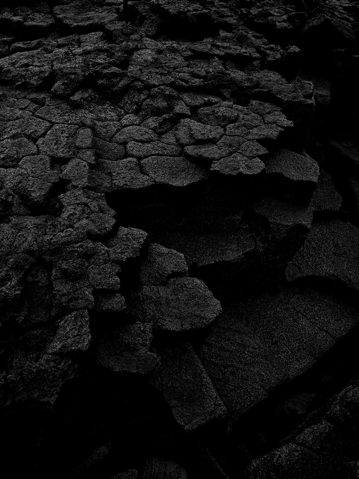 Archillect ID 143009