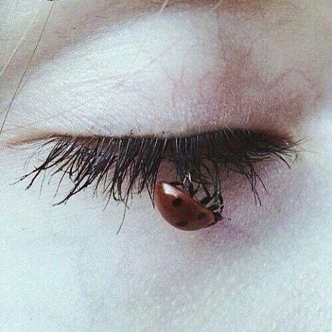 Archillect ID 143413