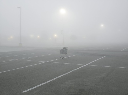 Archillect ID 143544