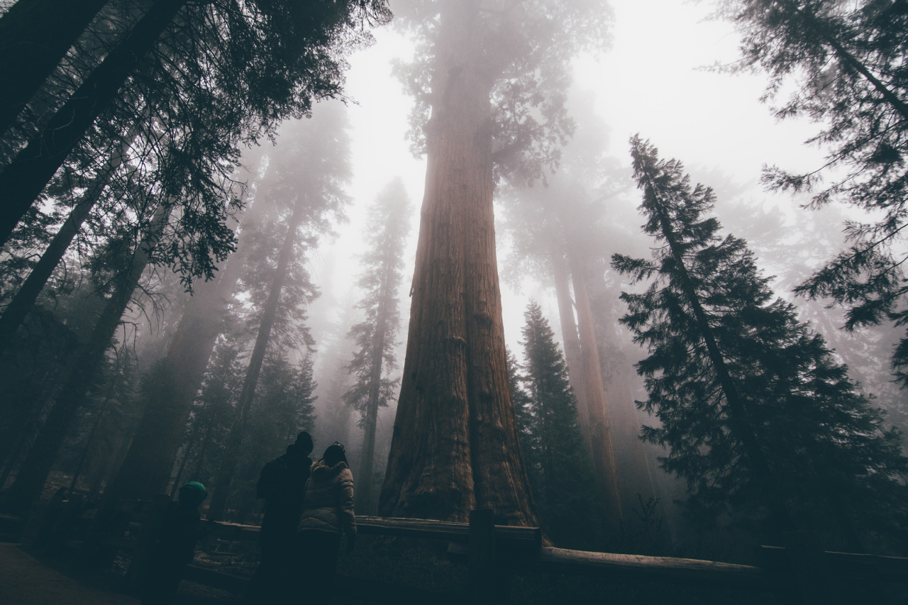 Archillect ID 143934