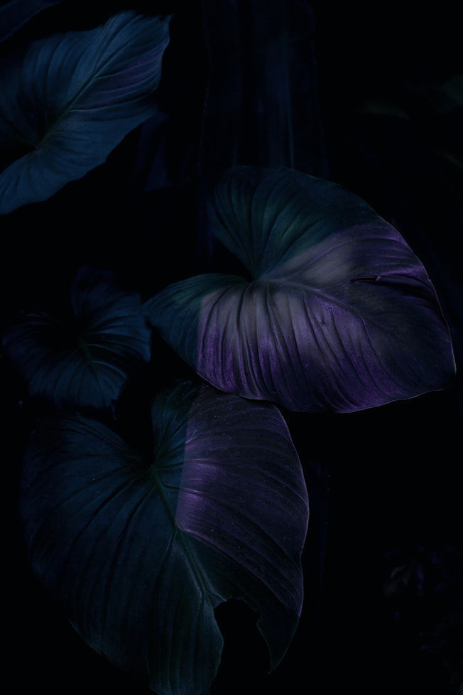 Archillect ID 143972