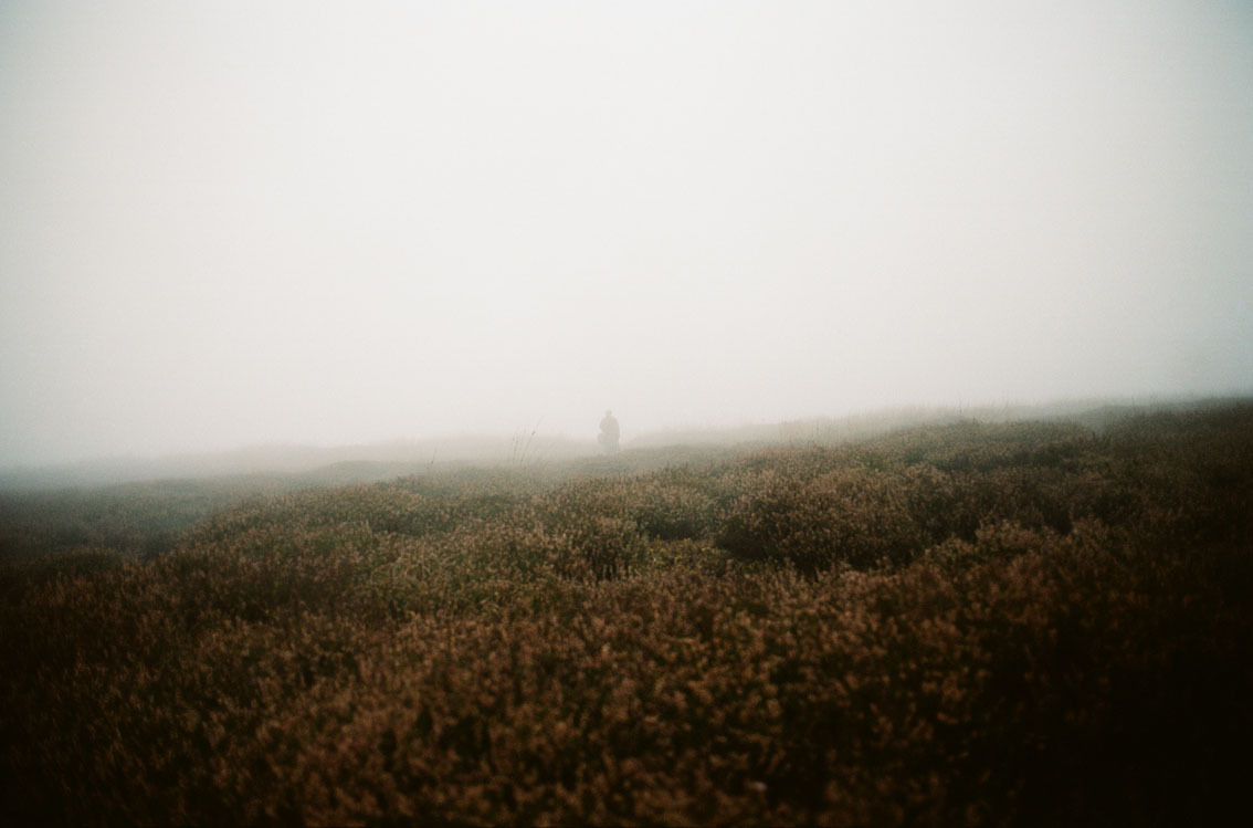 Archillect ID 144886