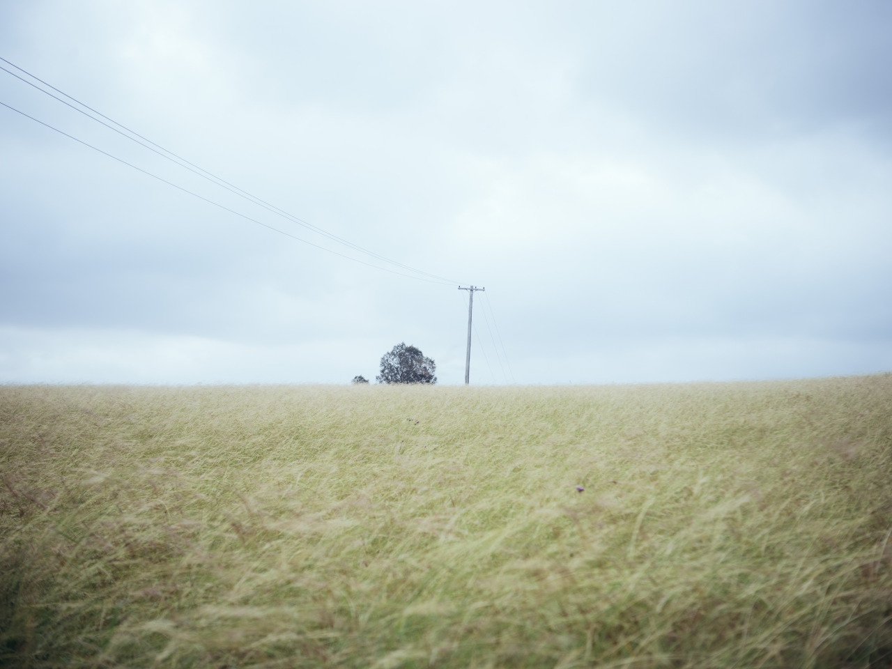 Archillect ID 145539