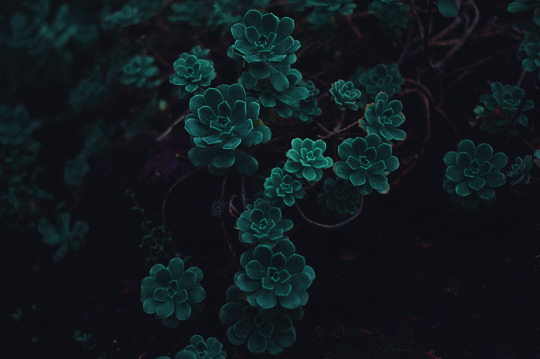 Archillect ID 145554