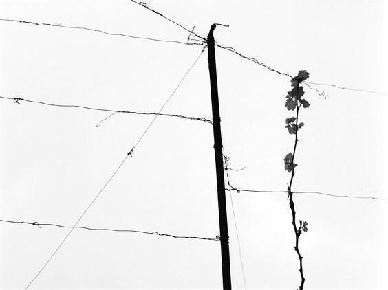 Archillect ID 145958