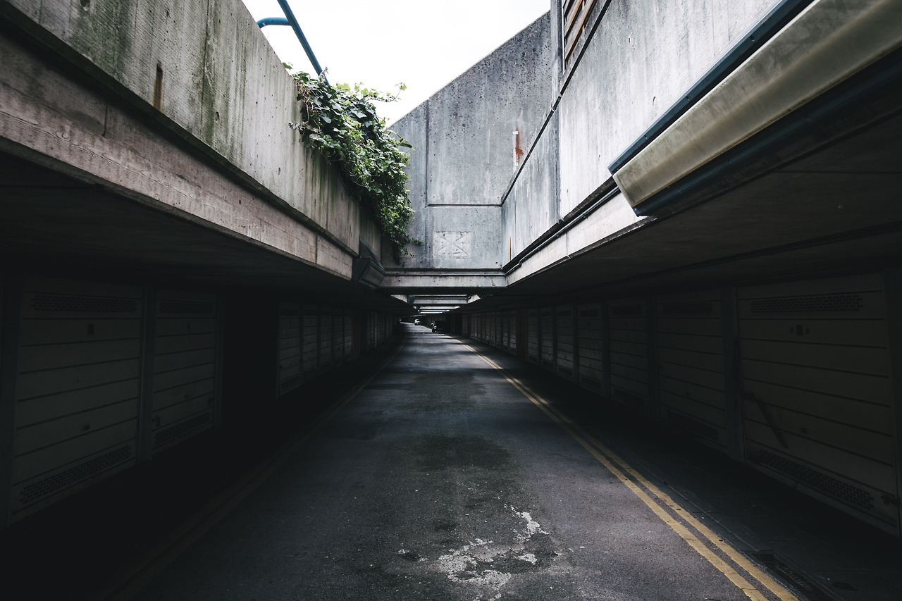 Archillect ID 146812