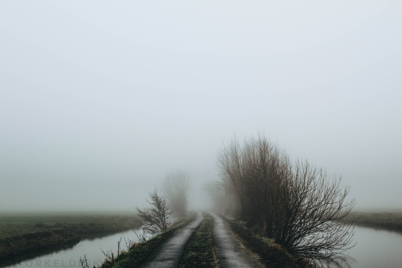 Archillect ID 146898