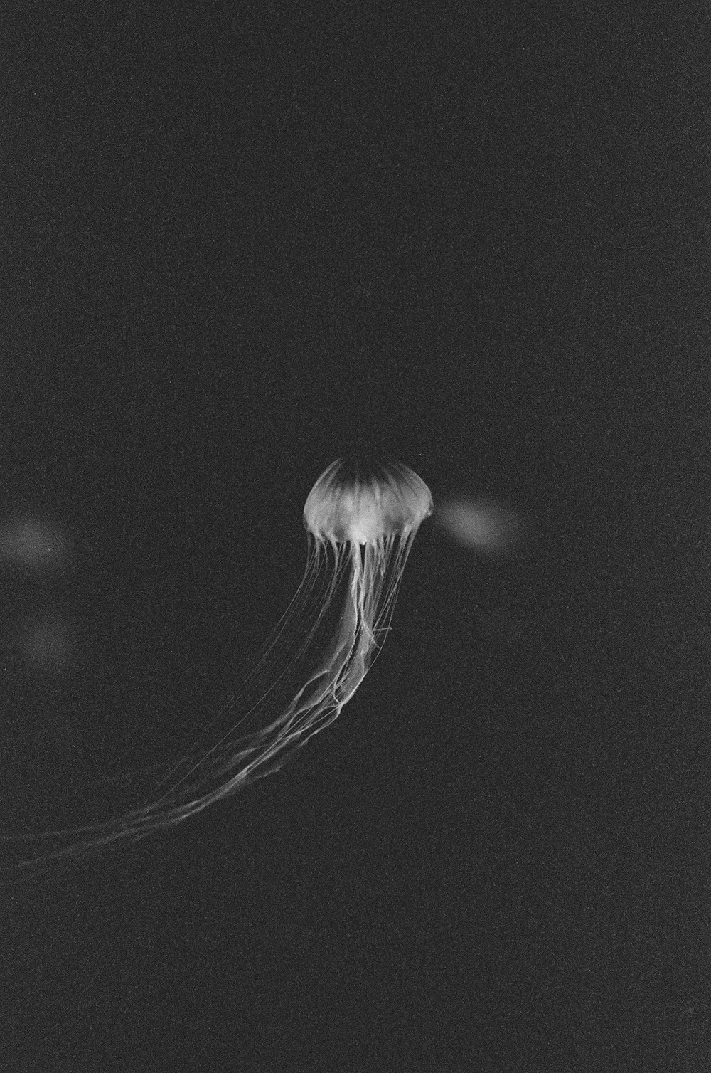 Archillect ID 146999