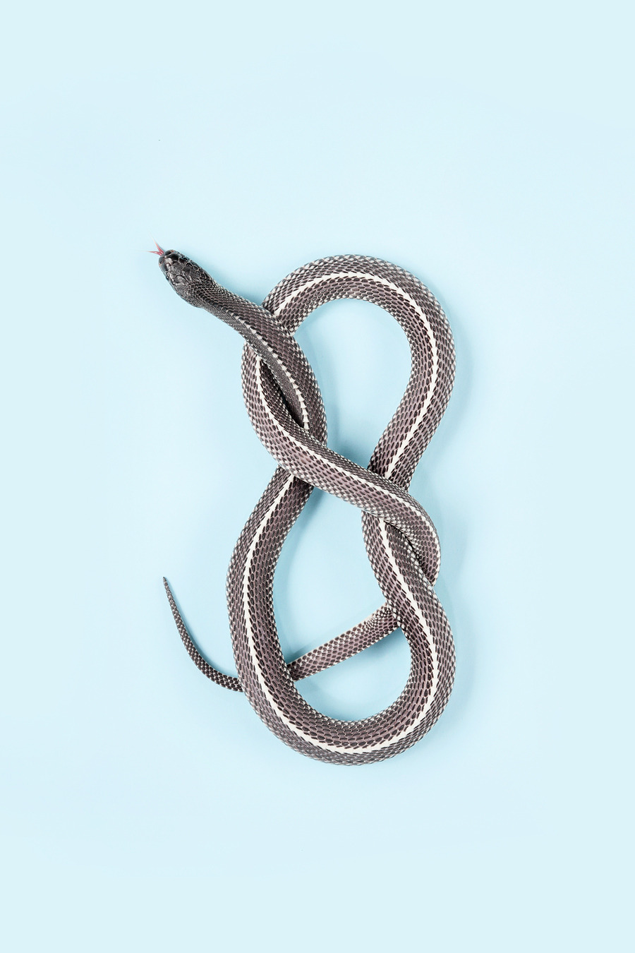 Archillect ID 147566
