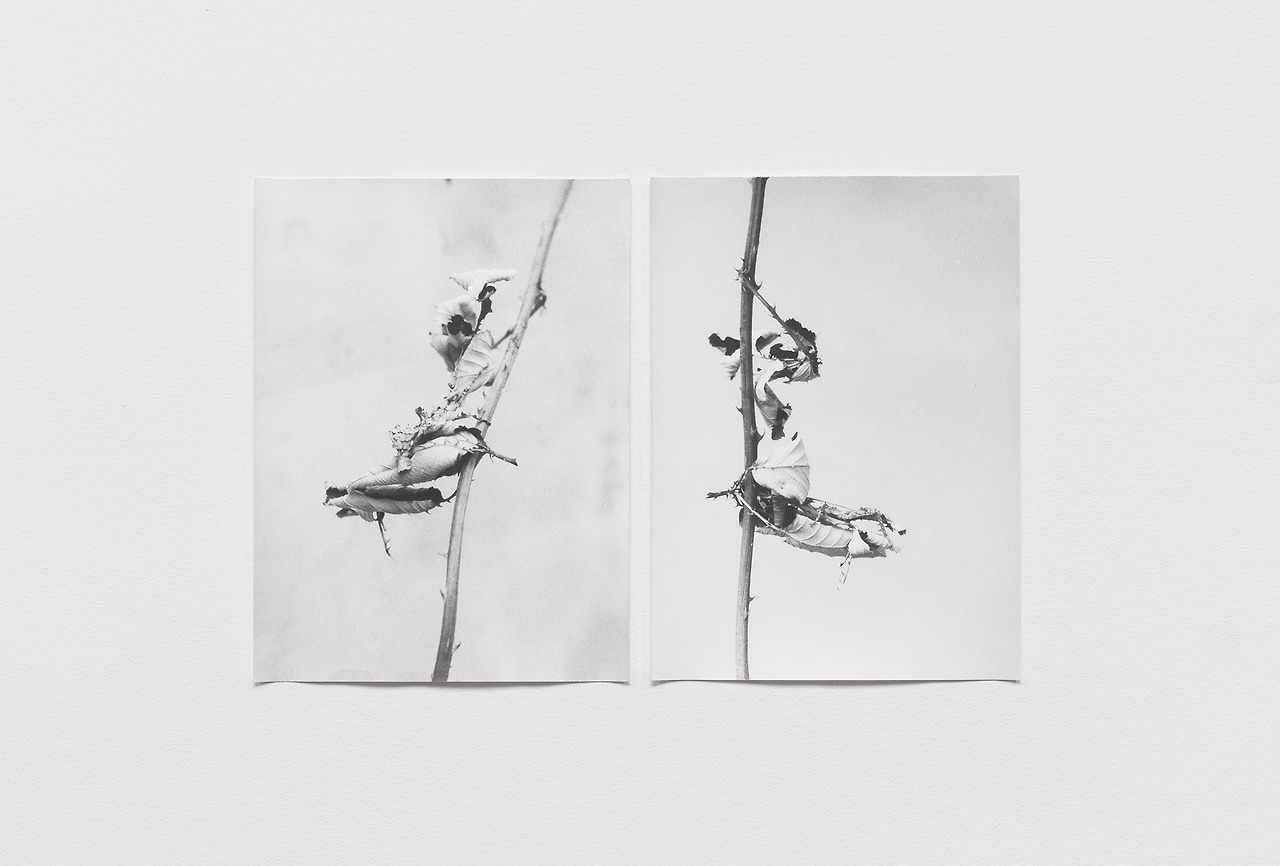 Archillect ID 148400