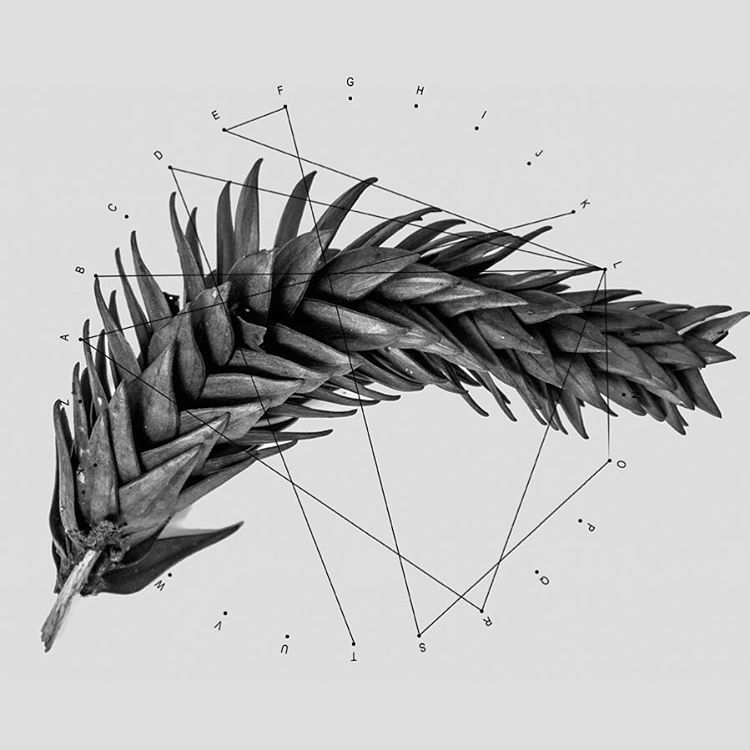 Archillect ID 148830