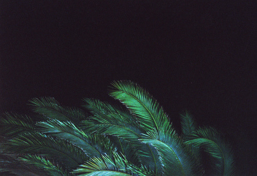 Archillect ID 149056