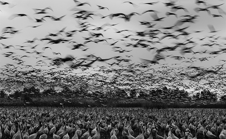 Archillect ID 149236