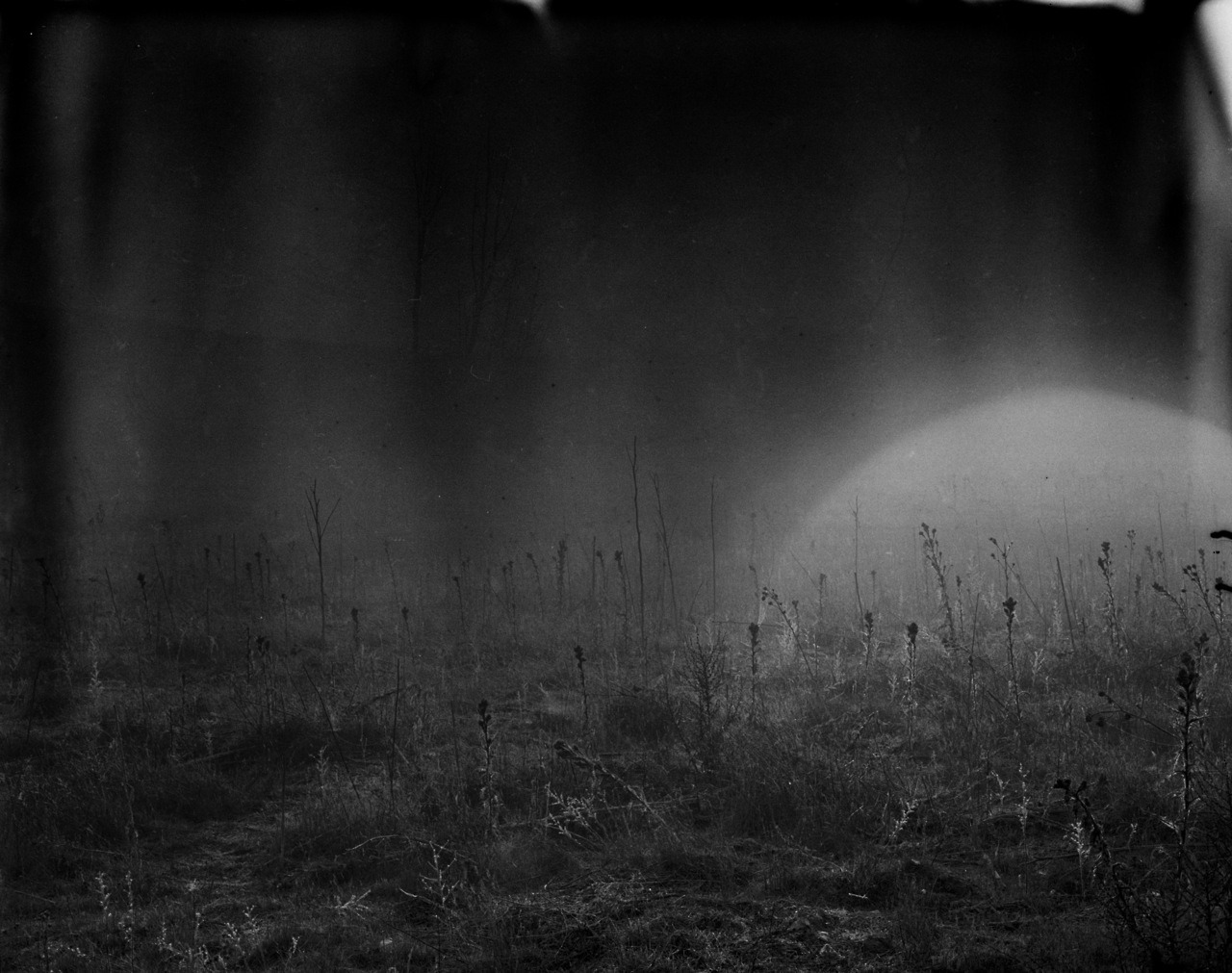 Archillect ID 149349