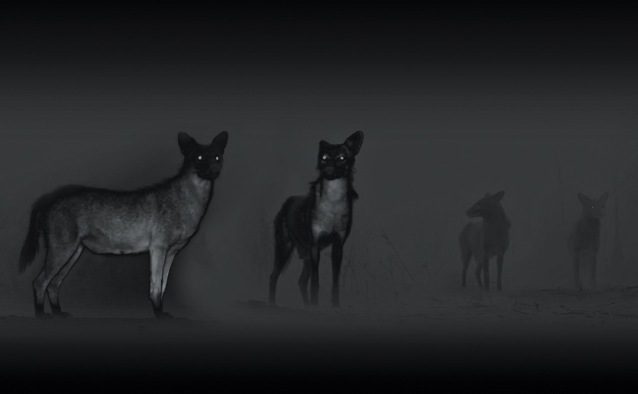 Archillect ID 149560