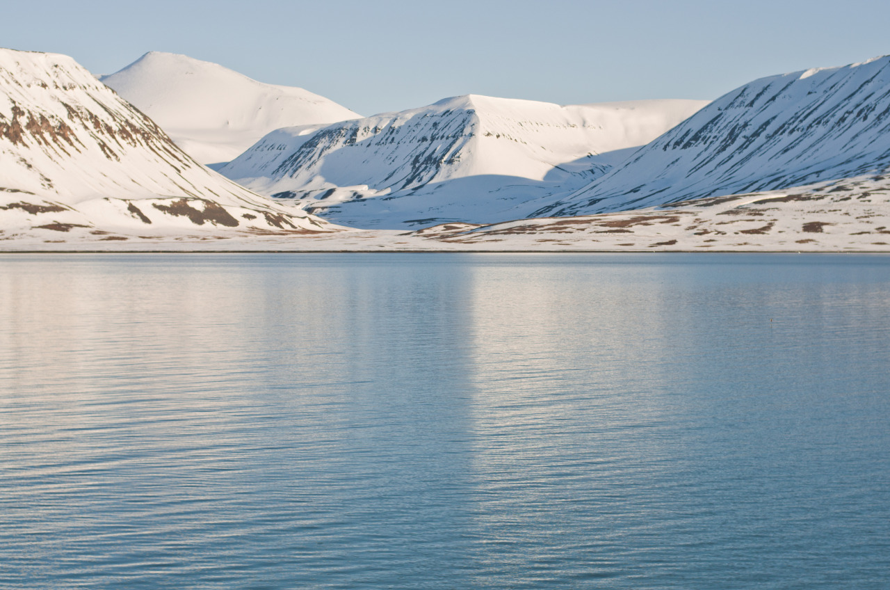 Archillect ID 149579