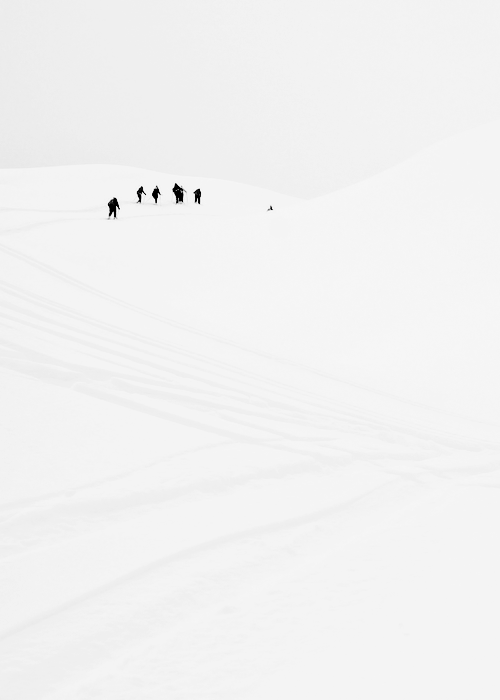 Archillect ID 149733