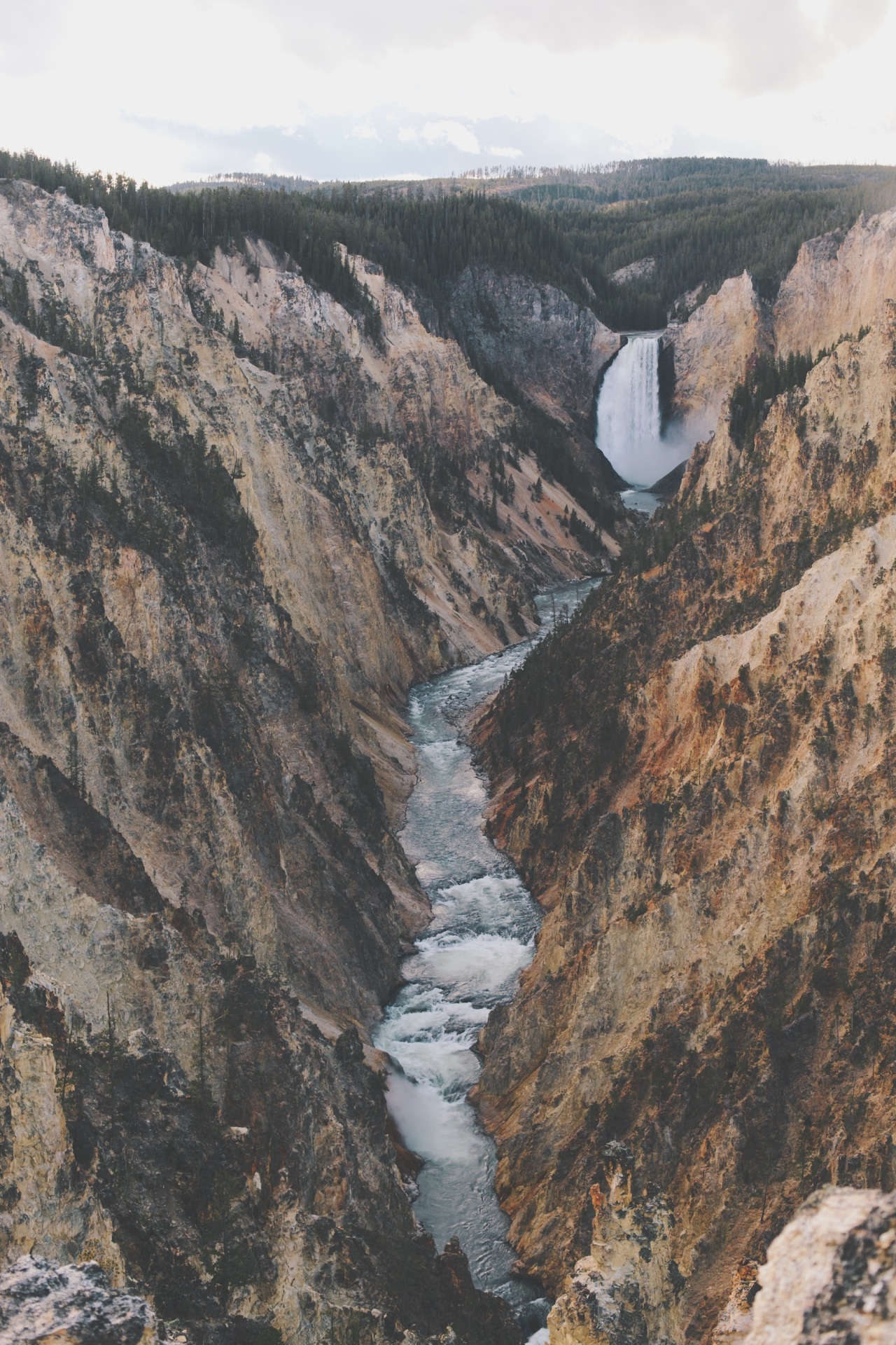 Archillect ID 150491