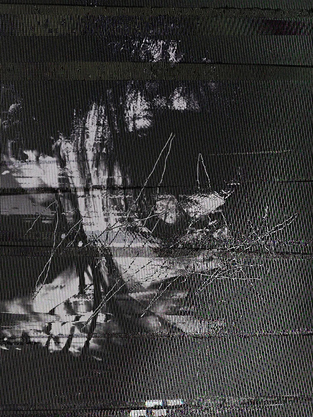 Archillect ID 150602