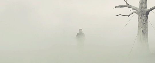 Archillect ID 150818