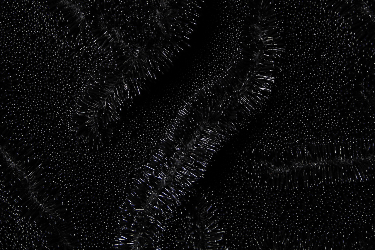 Archillect ID 150904