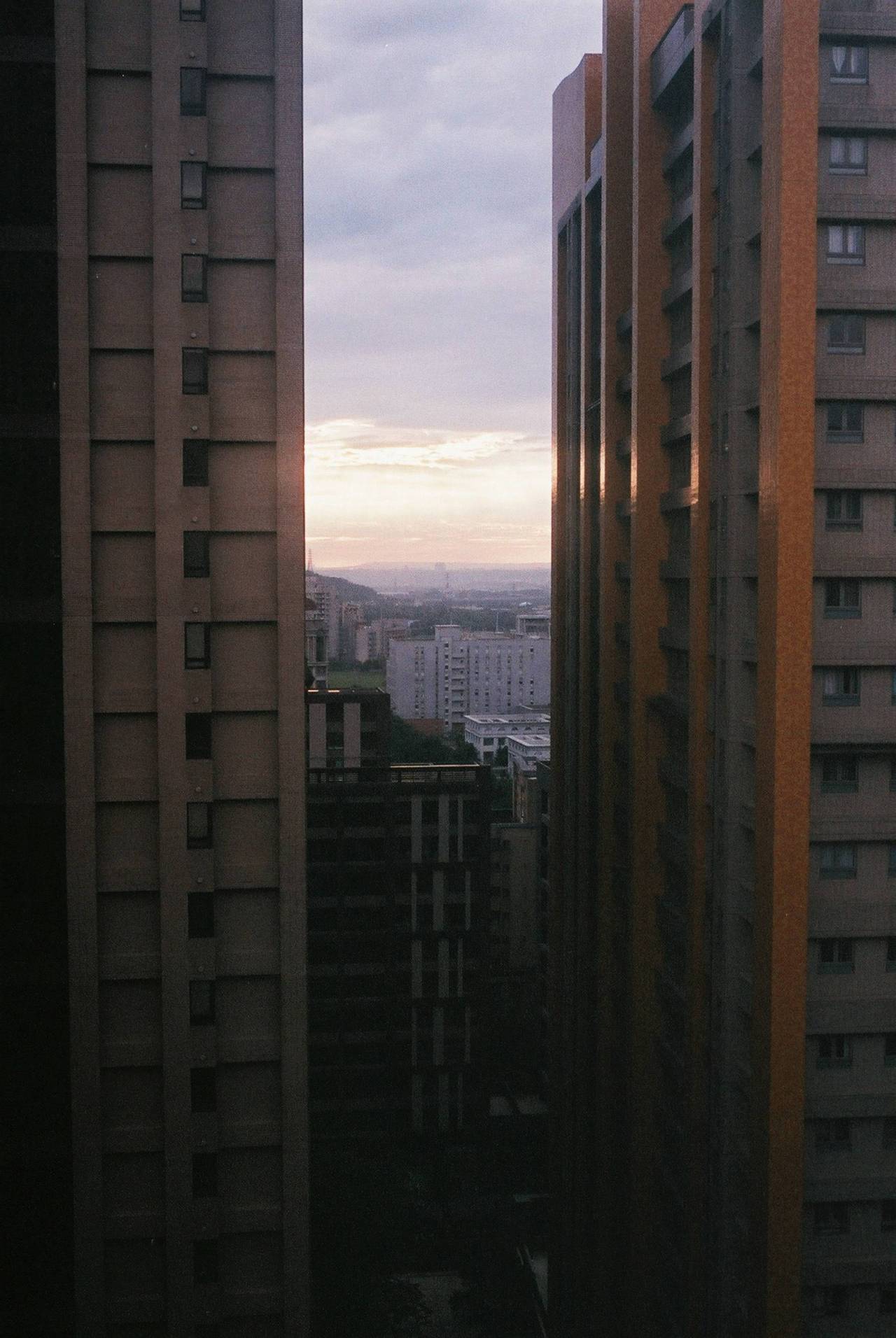 Archillect ID 150995