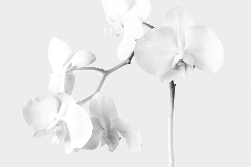 Archillect ID 151149