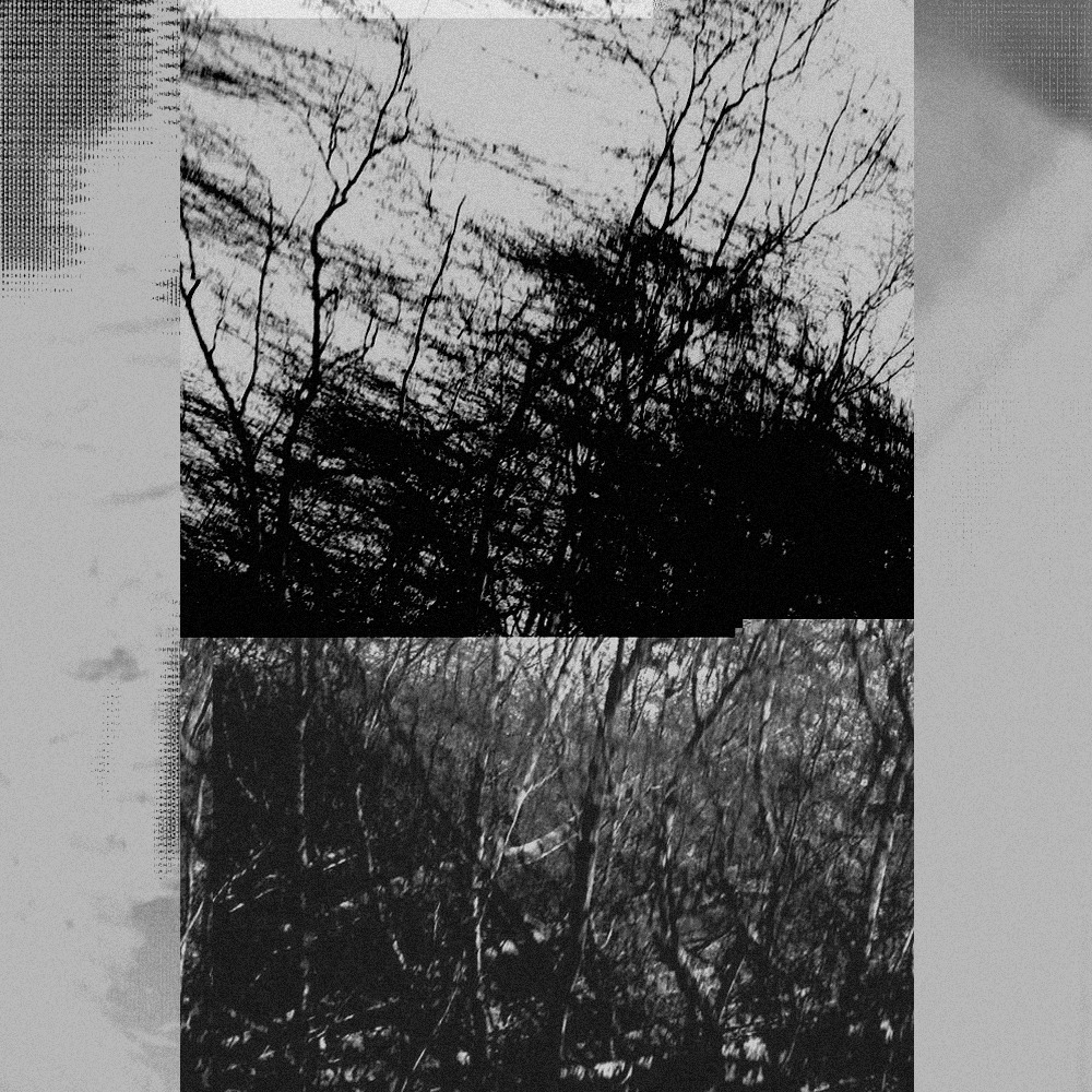 Archillect ID 151156