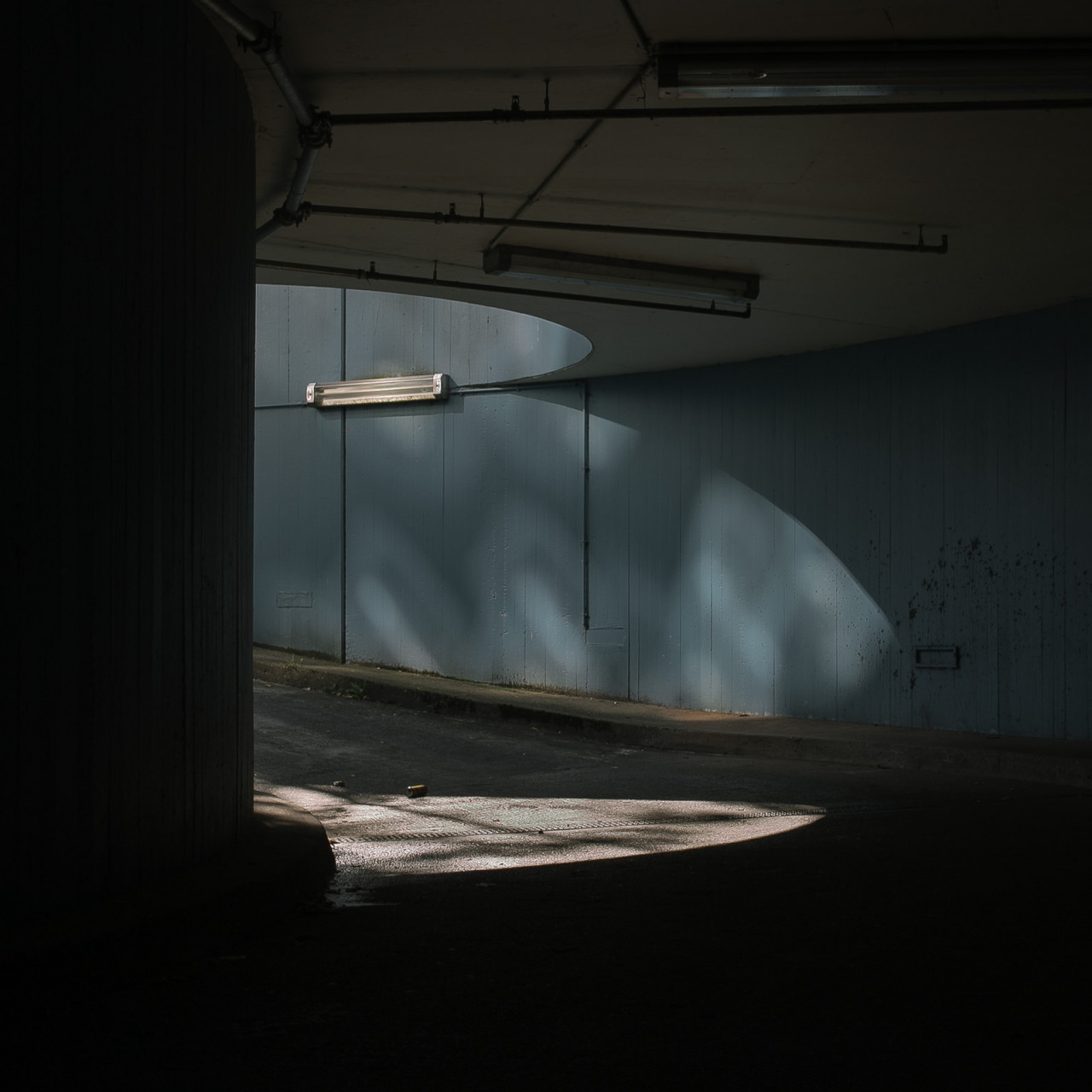 Archillect ID 151229