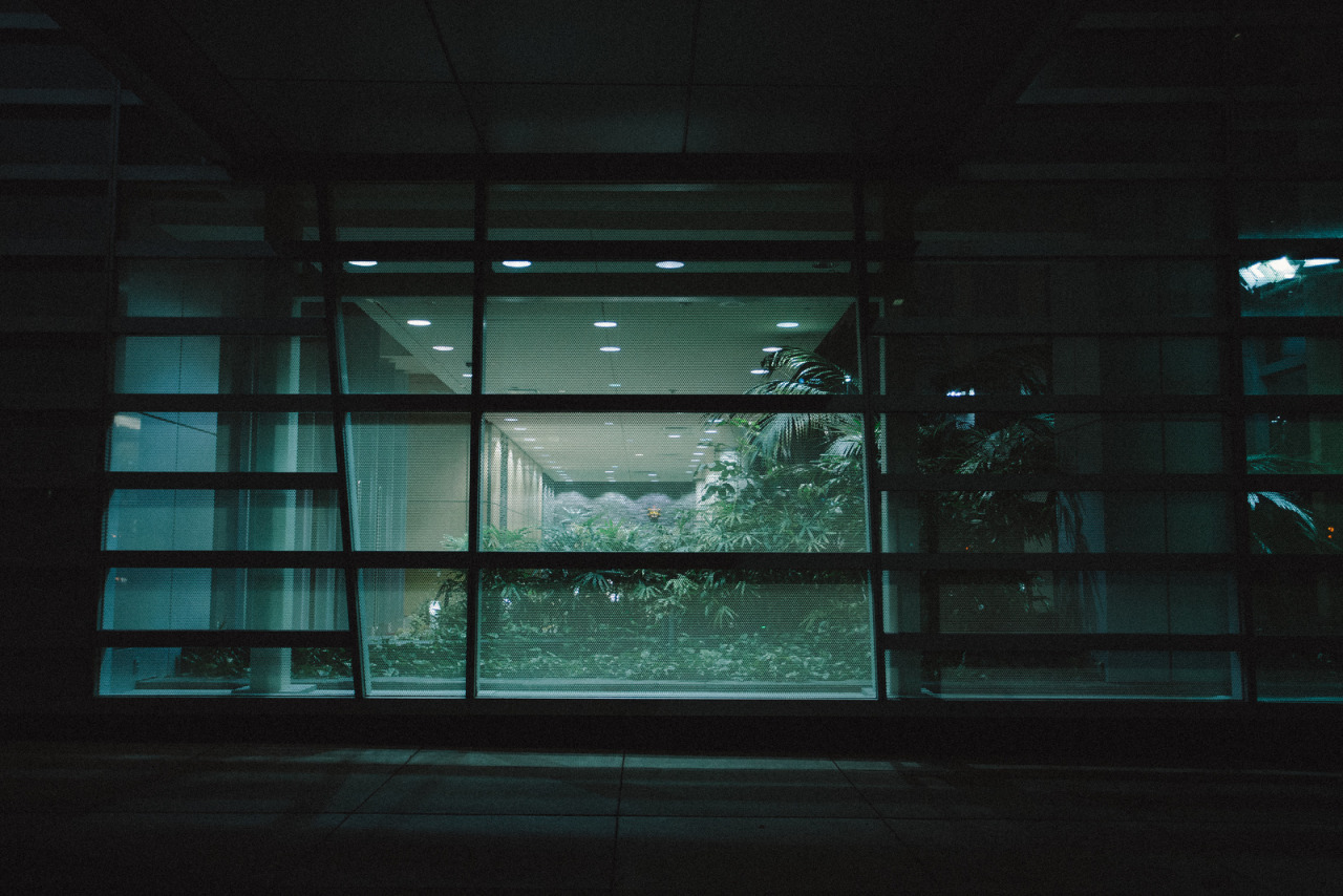 Archillect ID 151382