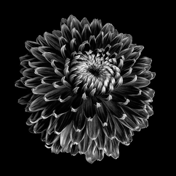 Archillect ID 151427