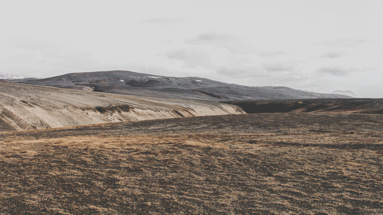 Archillect ID 151924