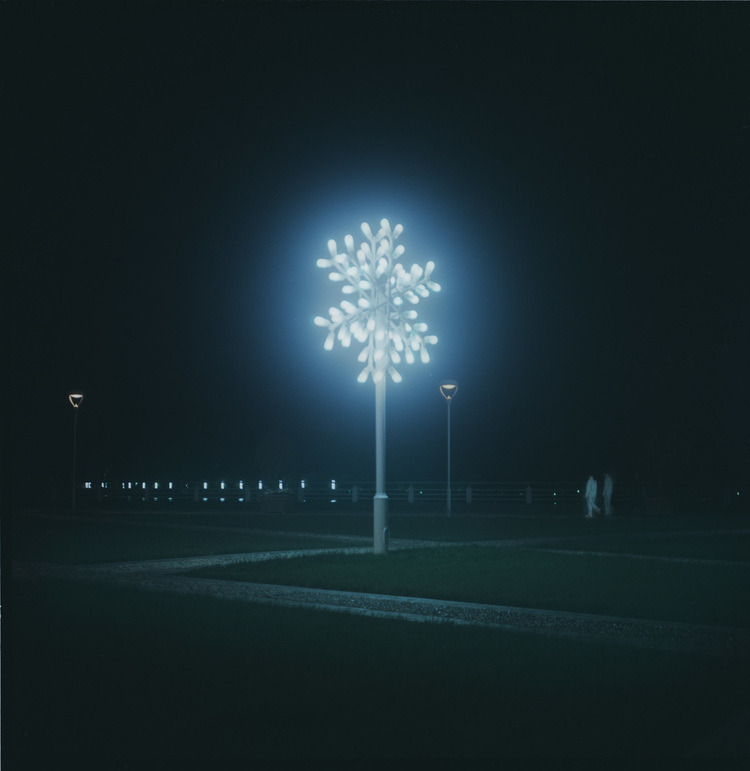 Archillect ID 151972