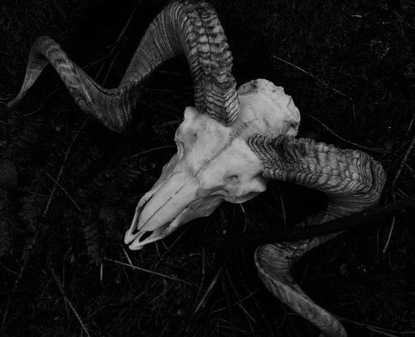 Archillect ID 152223